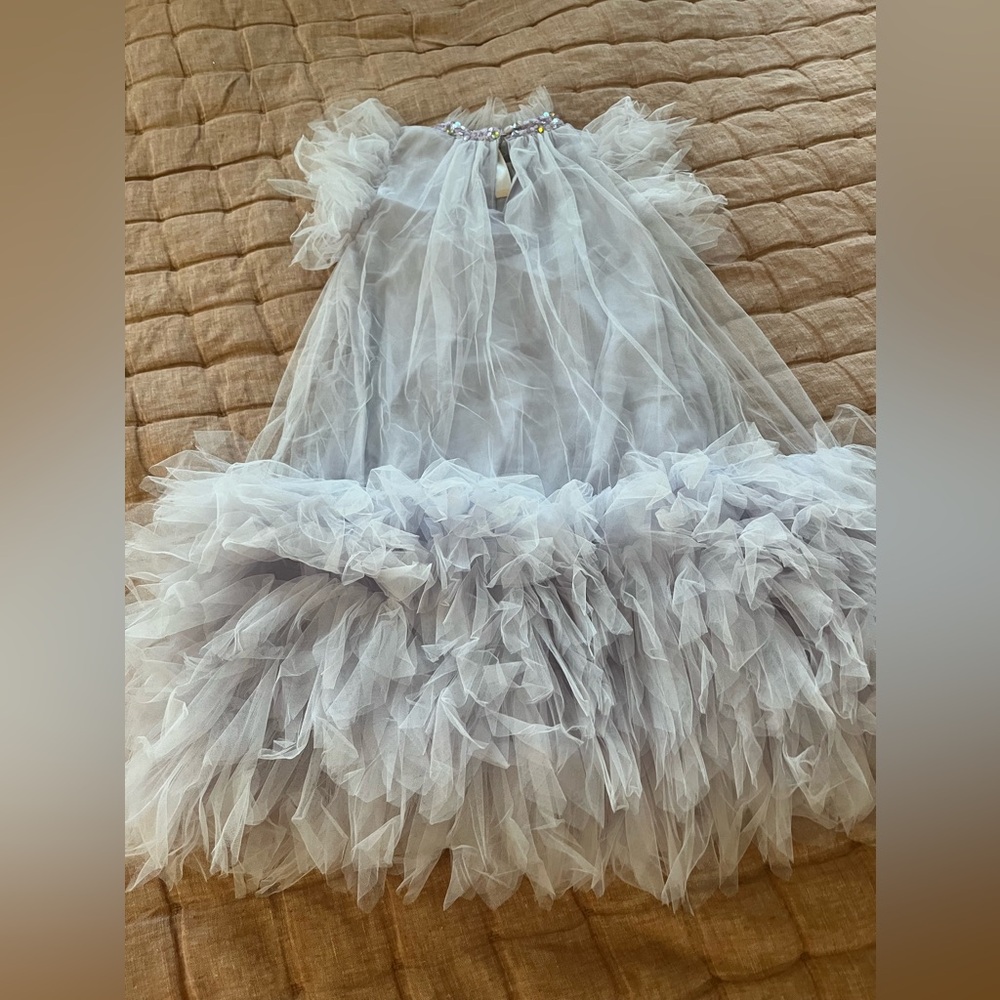 Tutu Du Monde Cannes Tulle Dress size 12 - Picture 6 of 6